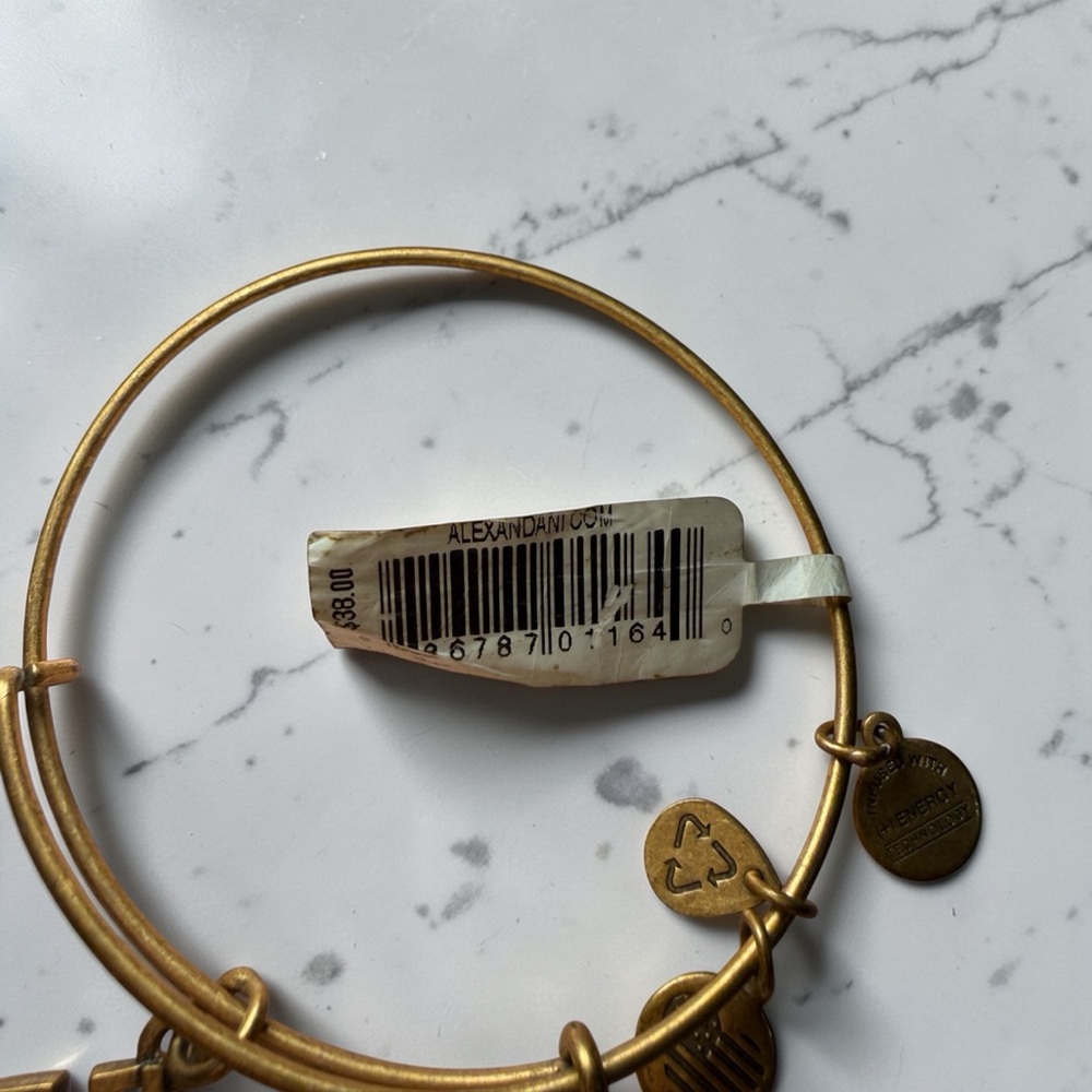 NWT Alex and Ani Endless Knot Charm Bangle Bracelet Rafaelian Gold Expandable - Picture 5 of 8